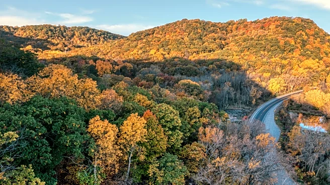 Where to See the Brightest Fall Colors This First Weekend