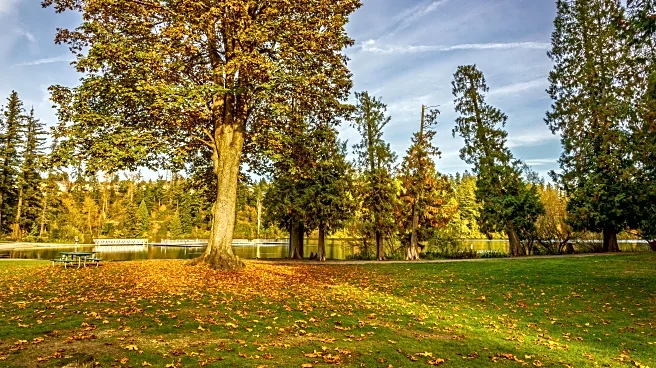 Mild, Sunny Stretch Ahead for Most of the Western U.S.