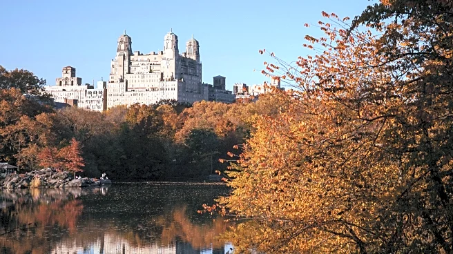 From Buffalo To NYC, New Yorkers Brace For Gusty Conditions