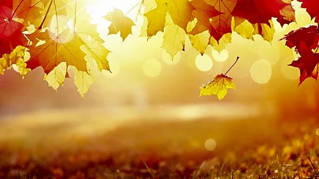 Weekend Weather Check: Who Gets Sun, Who Gets Showers