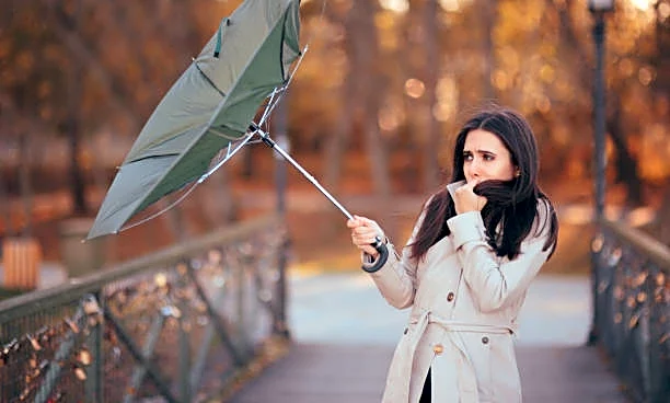 Gusty Days Ahead: How To Keep Your Home Safe And Sound