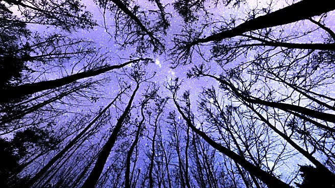 Rare Blue Fireball Streaks Across Tennessee, Leaving All In Awe