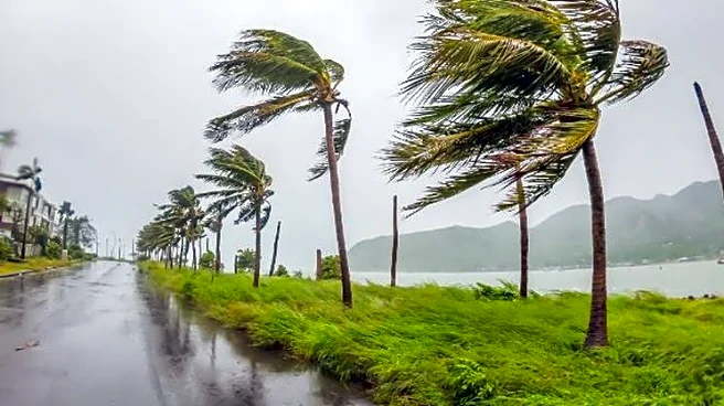 How To Support Recovery Efforts After Hurricane Melissa’s Impact