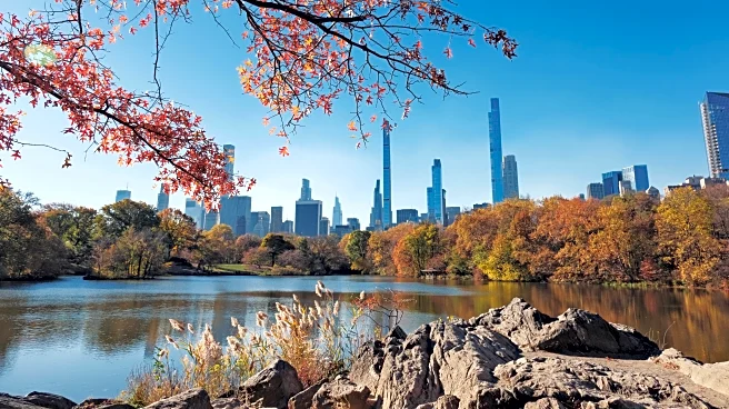 NYC’s Fall Colors Arrive Late—And A Meteorologist Knows Why