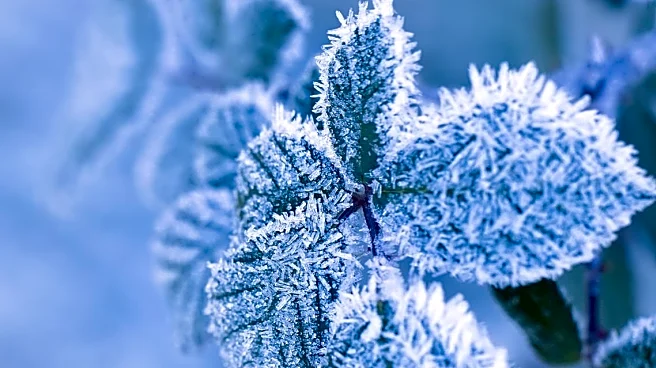 Plains and Midwest Warm After Frosty Start as Milder Air Returns