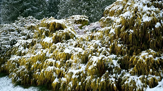 Chilly North, Warm Plains, And Dry South Define November Weather