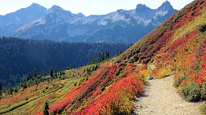 Explore The Great Outdoors With These Must-Do National Park Hikes