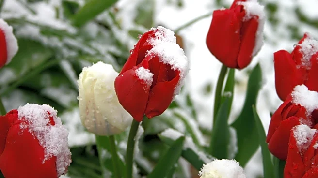 Expert Tips To Winterize Your Garden And Help It Thrive In Spring