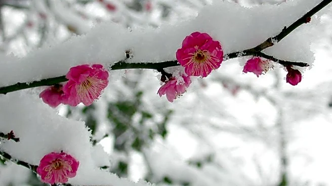 Garden Experts Share The One Thing To Do Before The First Frost