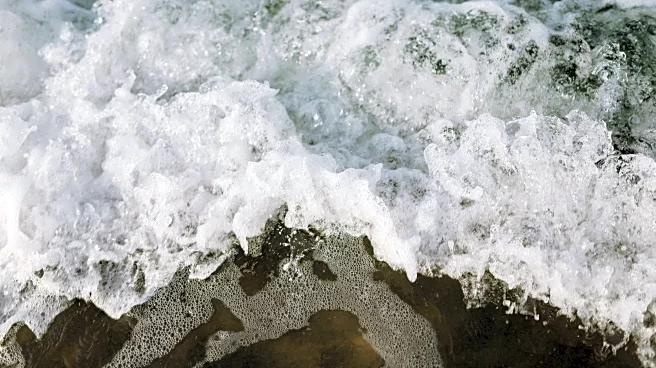 Coastal Watch: King Tides Make A Splash To Start The Month