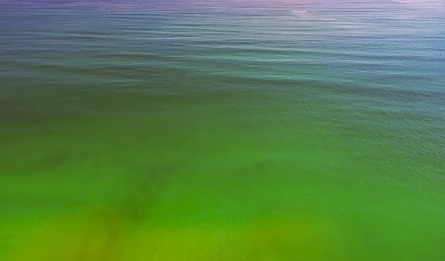 Nature’s Glow-Up: Why The Waves Turned Green This Week