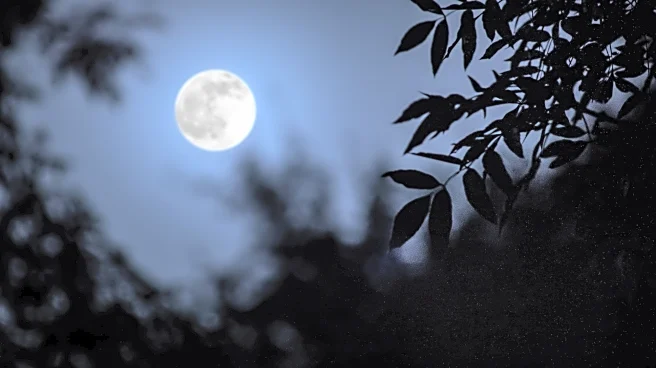 How To Catch November’s Big, Bright Supermoon In The Sky