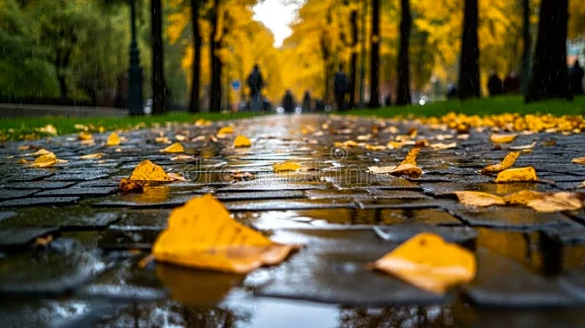 Pacific Storms Bring Windy, Rainy Start to the Week in Northwest