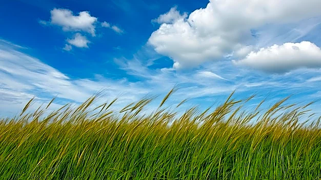 Warm, Dry, and Breezy High Plains Face Wildfire and Heat Risks