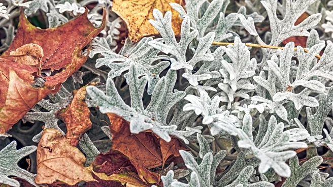 Prep Your Garden for Winter with These Easy End-of-Season Tasks