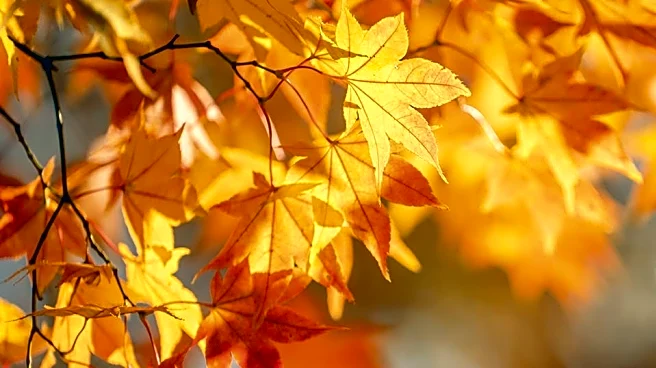 Planning Your Day? Check Out Tuesday’s Forecast First