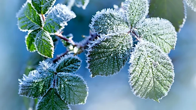 Get Your Home And Car Winter-Ready Before The First Big Freeze Arrives Soon