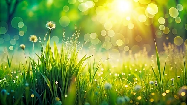 Cold And Flu Prevention Tips For November’s Dry Air And Changing Weather