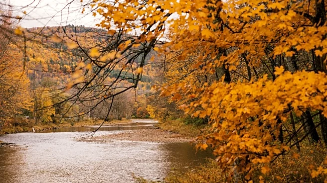 Catch The Last Fall Foliage Colors Before Winter Winds Sweep Them Away Soon