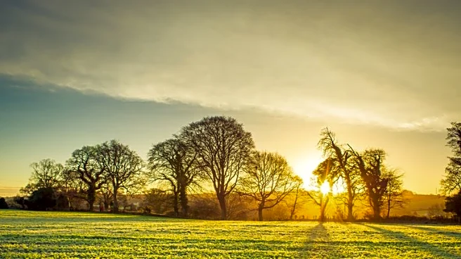 Sunshine and Mild Temps Dominate Florida Before Weekend