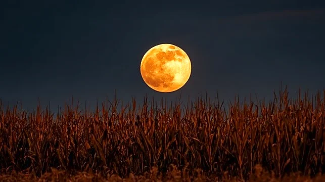 The Biggest, Brightest Supermoon Is Here — Who Sees It Best?