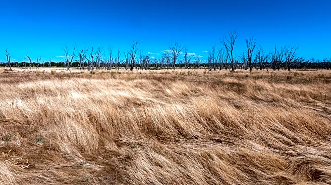 Dry, Warm, and Breezy Conditions Dominate the South and Mid-Atlantic