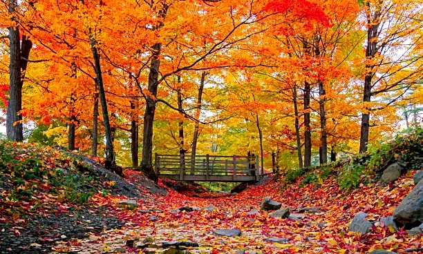 Good Morning, America — Here’s Your Daily Weather Update