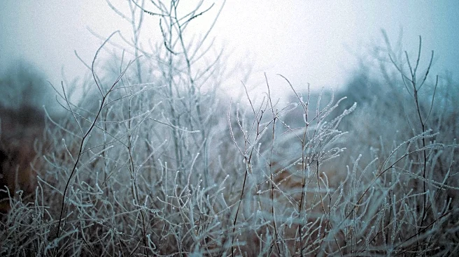 Cooler Mornings Arrive Across the U.S. This First Week of November