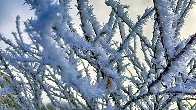 Jet Stream Shifts Drive Early November Weather Across the Country