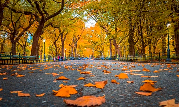 Microclimates Bring Weather Surprises—Check Your Local Forecast