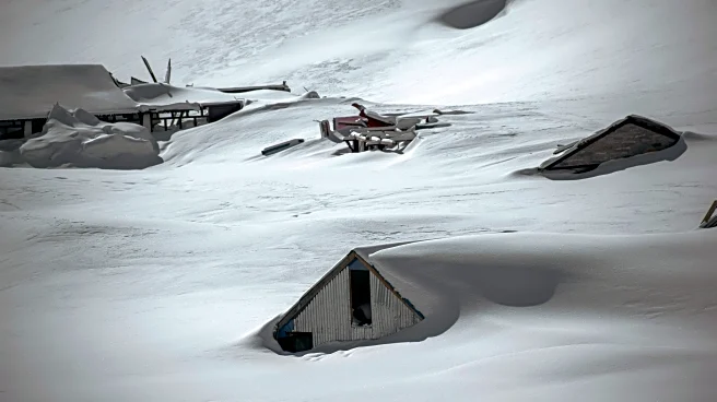 Buried Alive in Snow? This Life-Saving Device Proved Its Worth