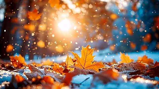 Cold Front To Bring Rain, Wind Across Midwest And Lakes