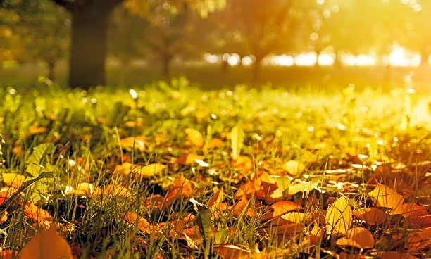 Warm, Dry Weather Dominates Southwest And Southern Plains