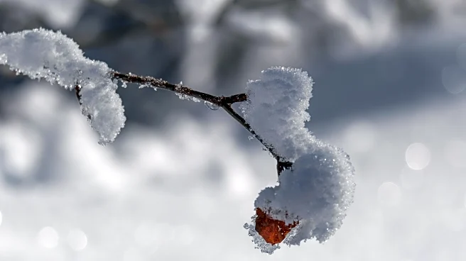 Cold Snap: The Quick Chill That Grips Overnight