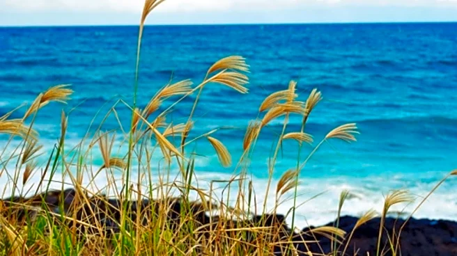 Gale Warning: When Winds Turn Coastal Waters Wild