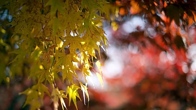 Drought Update: North Sees Gains While South Stays Parched