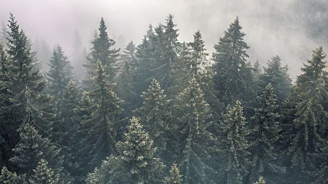 Northwest Braces for Rain, Mountain Snow, and a Push of Colder Air