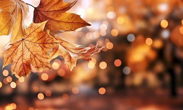 End-Of-Week Forecast: What To Expect Across The Nation