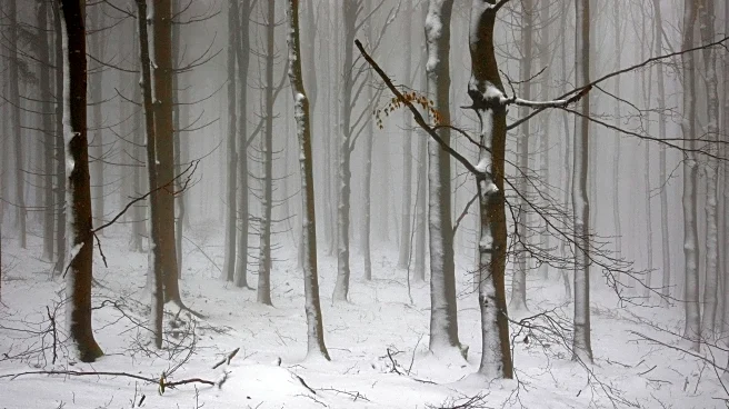 Thick Fog Grips Tennessee As Sunday Night Chill Approaches