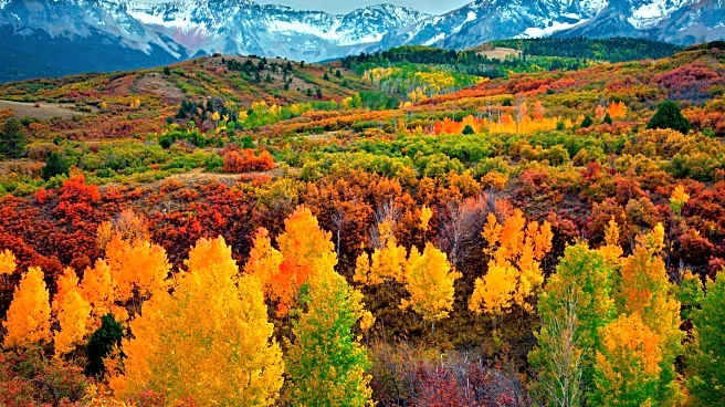Colorado Stuck In Fall Mode As Winter Hits The Snooze Button