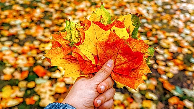 Missed Peak Fall? There’s Still Time To Catch The Colors