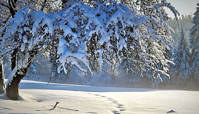 Winter Strikes Early: Snow Up North, Record Cold Down South