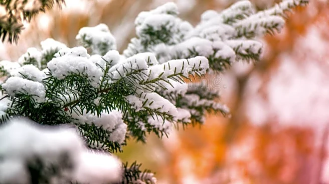 Today’s Snow Tracker Shows Where Winter’s Making A Stop