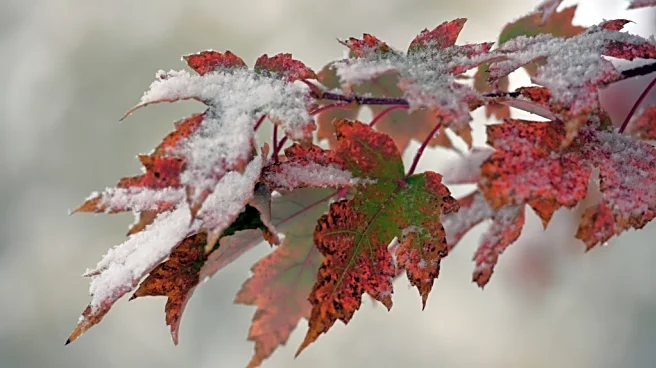 Millions To Feel Winter’s First Real Bite Starting Next Week