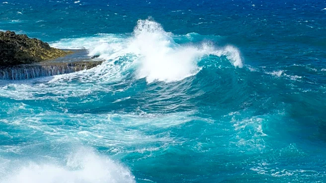 Bay Area King Tides Toss Woman Into Rough Waters