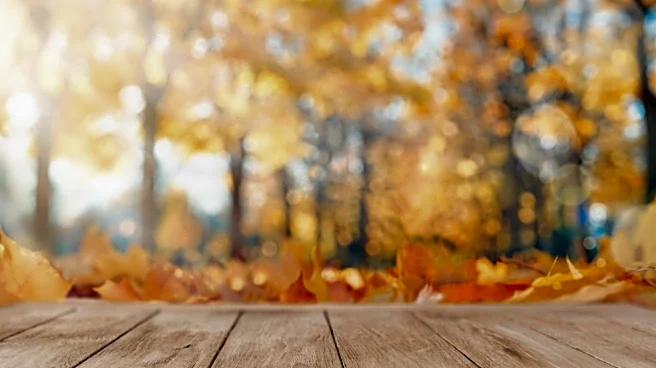 Sudden Chill Coming—Southwest Florida Faces 20° Temperature Drop