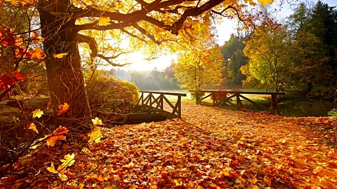 Southern Texas Under Critical Fire Weather Threat Today