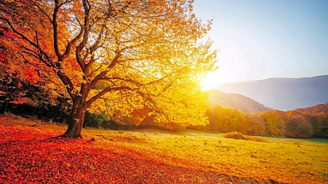 Western U.S. Enjoys Above-Average Temperatures This Week