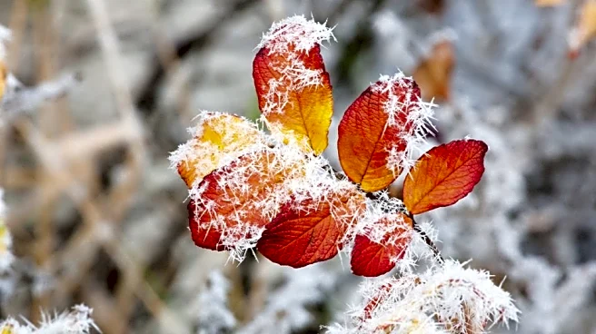 Early Freeze Ahead—Could Snowstorms Hit the East Soon?