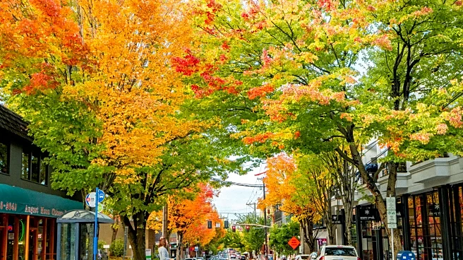 Sunday Skies Across America—Rain, Sun, and Everything